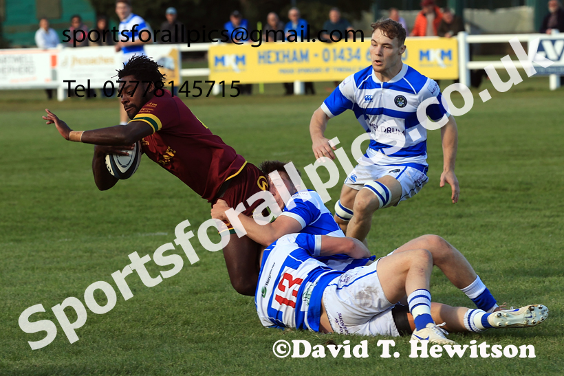 Tynedale v Heath, October 3rd, 2026. Photo: David T. Hewitson/Sports for All Pics